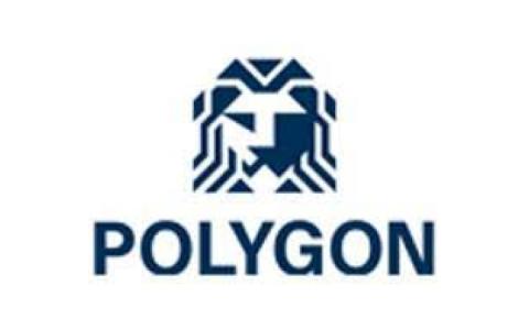 Thank You Polygon